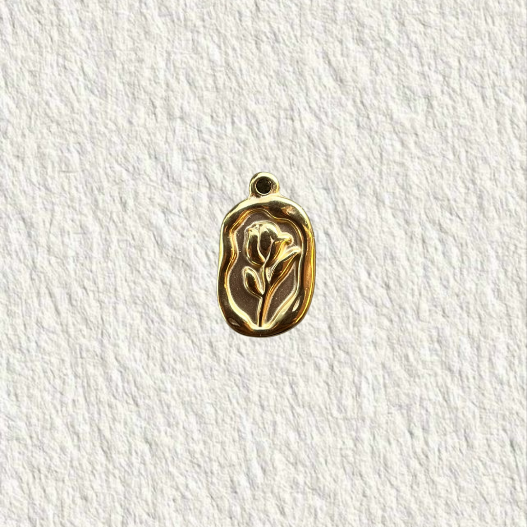 Charm “La belle et la bête”