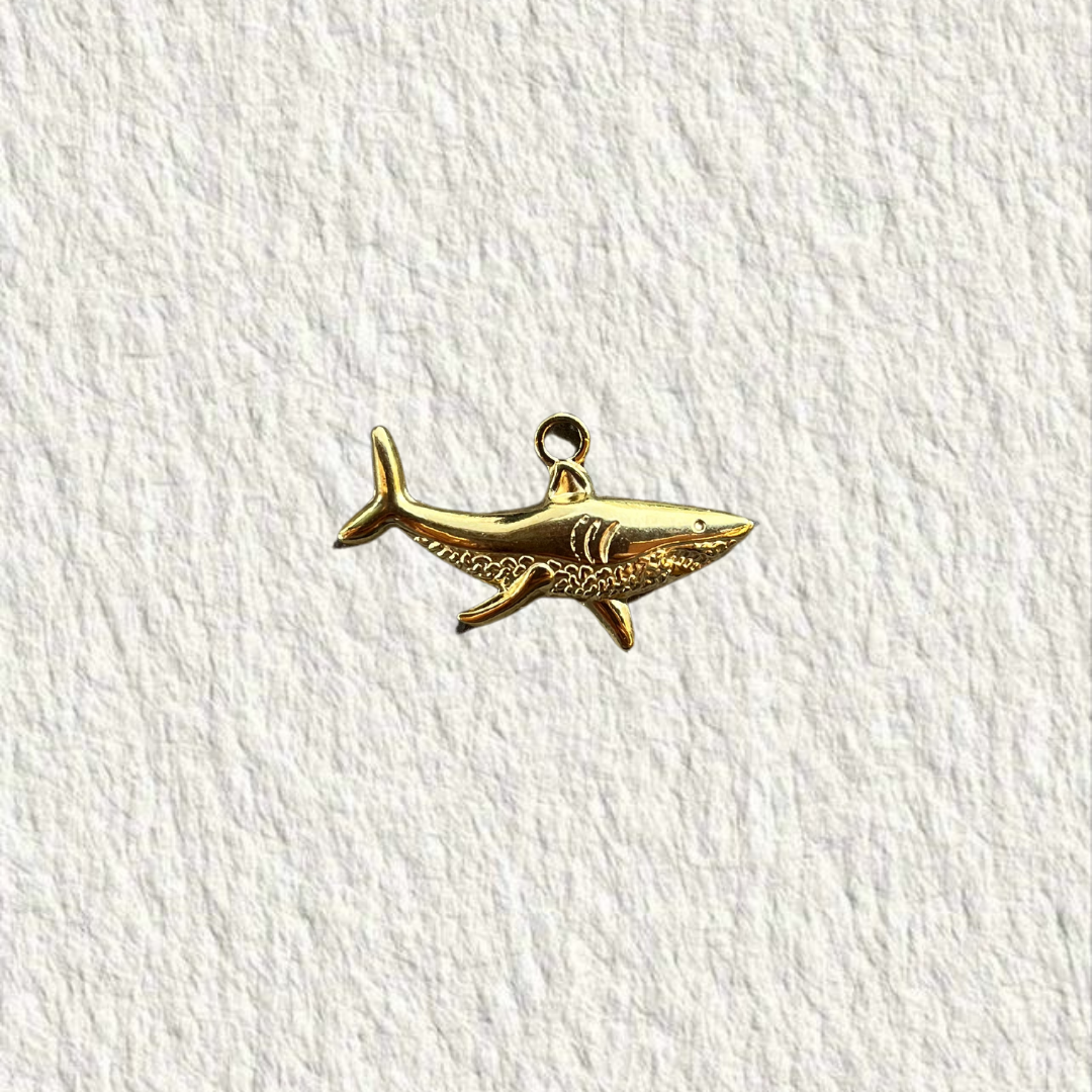 Charm - « Dent de la mer »
