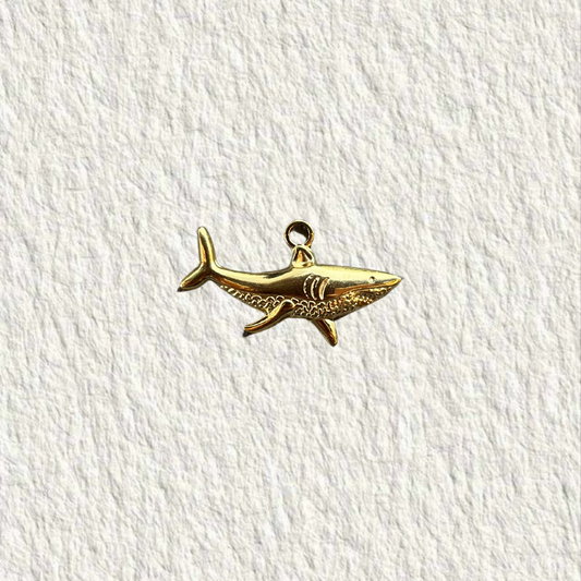 Charm - « Dent de la mer »